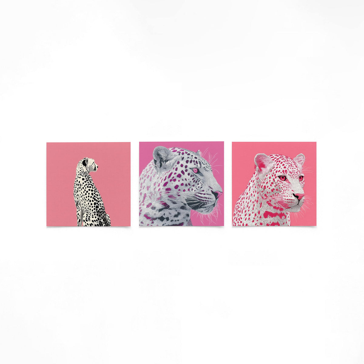 Drie vierkante posters met grote katten op een gebroken witte achtergrond