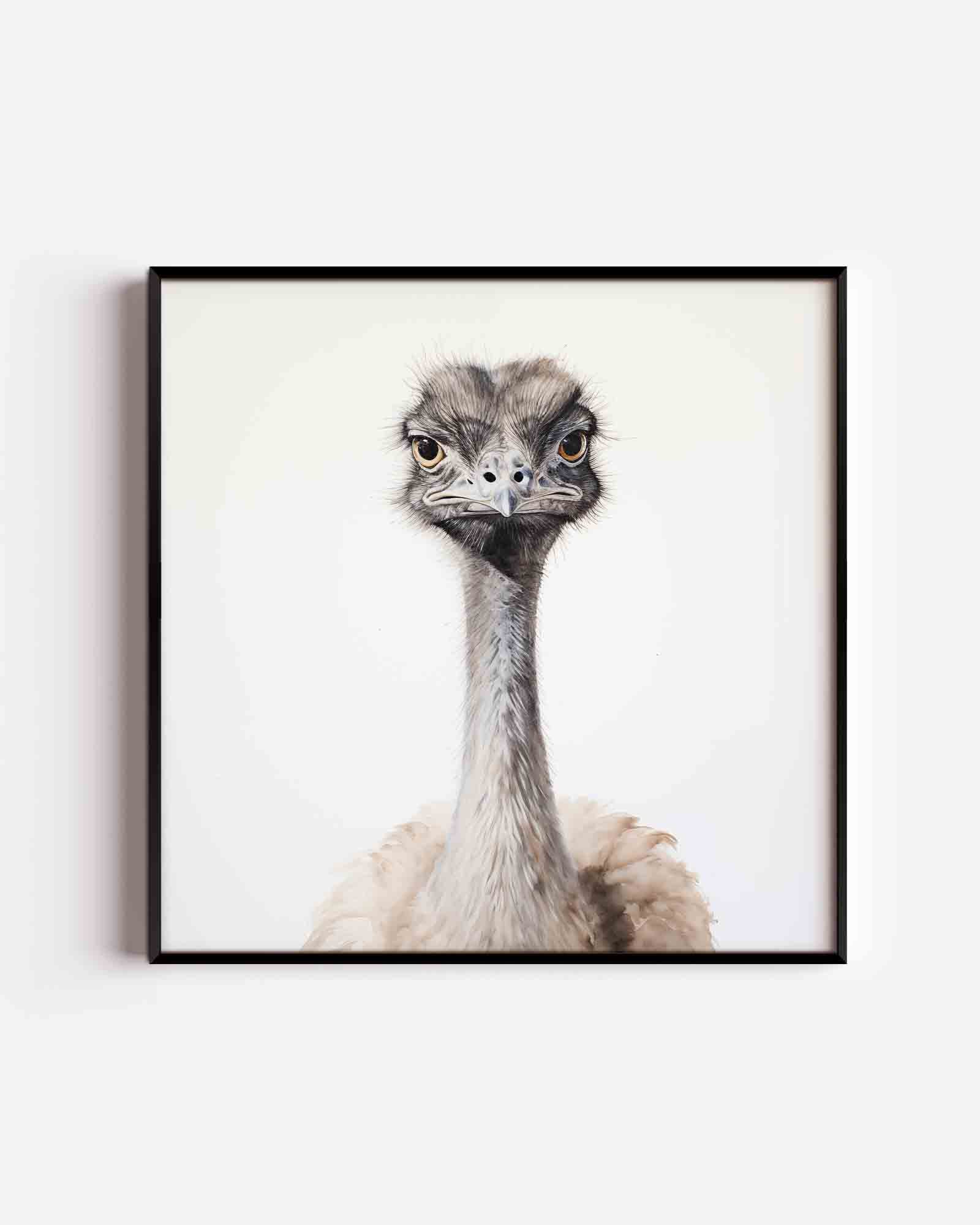 Struisvogel portret Poster