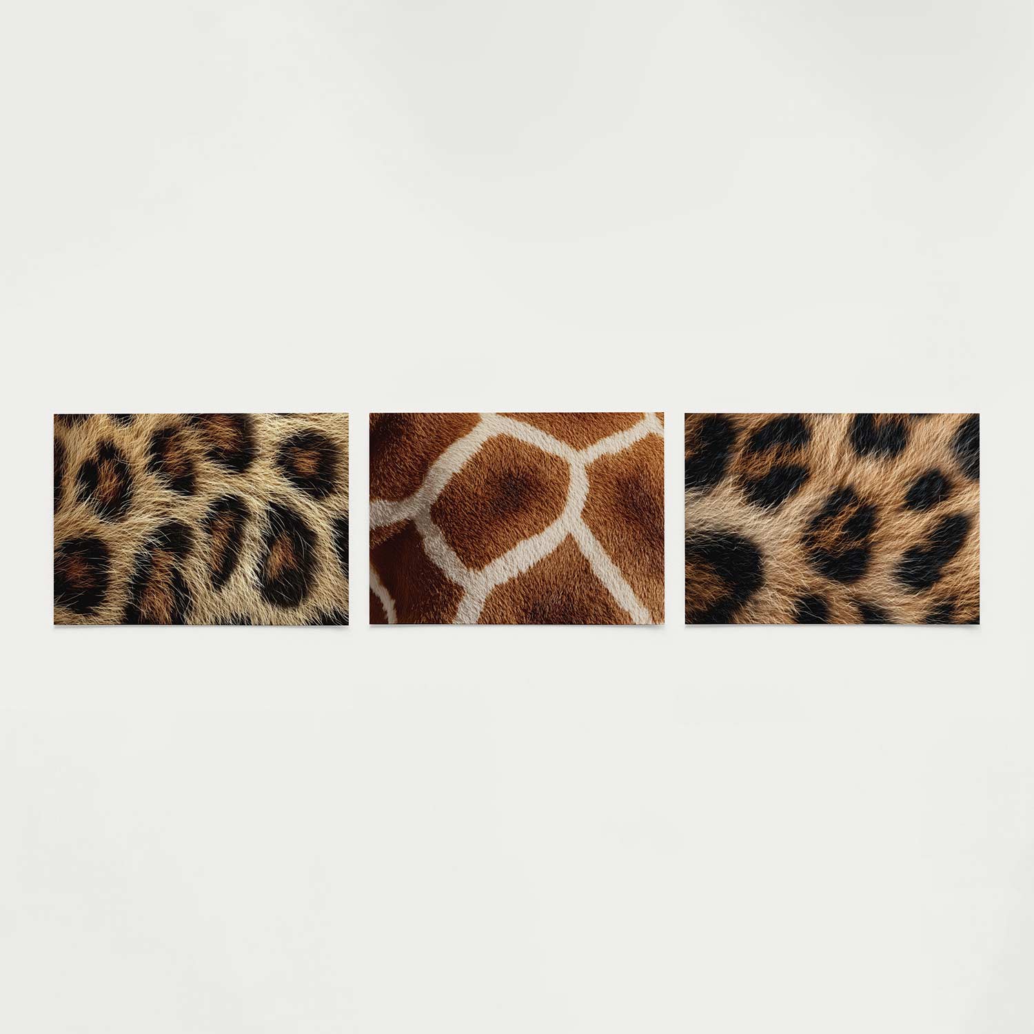 Vachtpatroon ritme Posterset