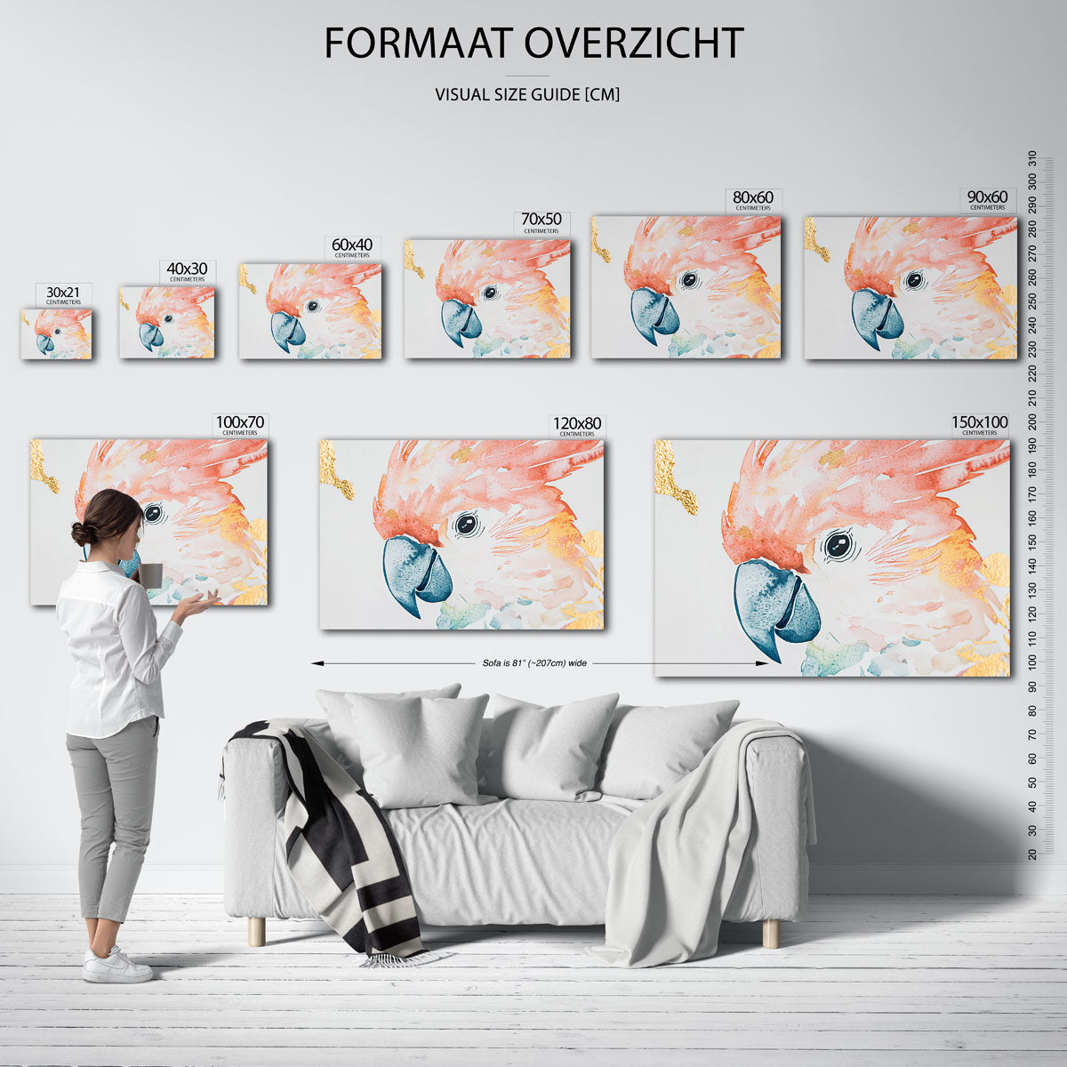 Papegaai met kleurrijke veren Poster