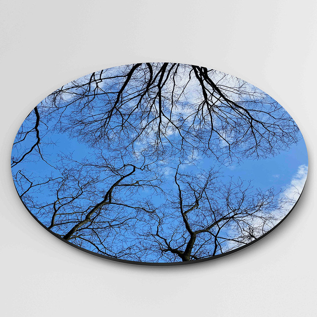 Blauwe lucht met takken Muurcirkel