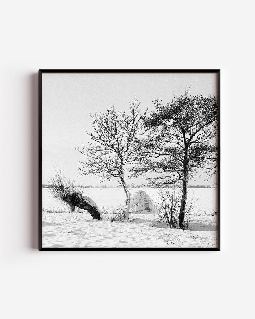 Winterse bomenlandschap Poster