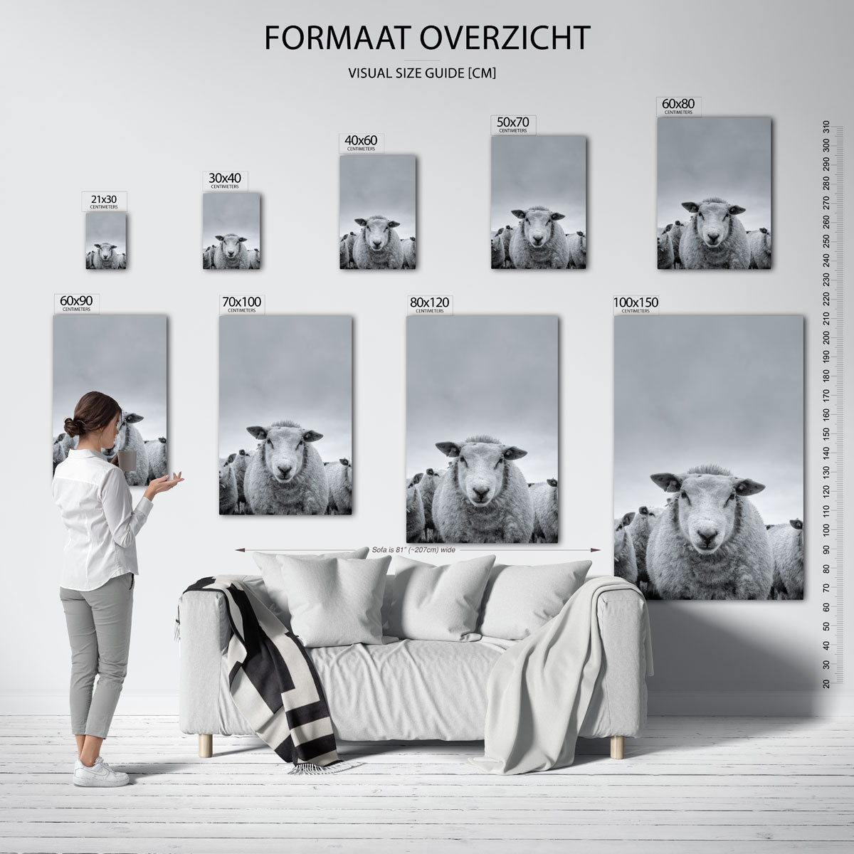 Schaap close up Poster