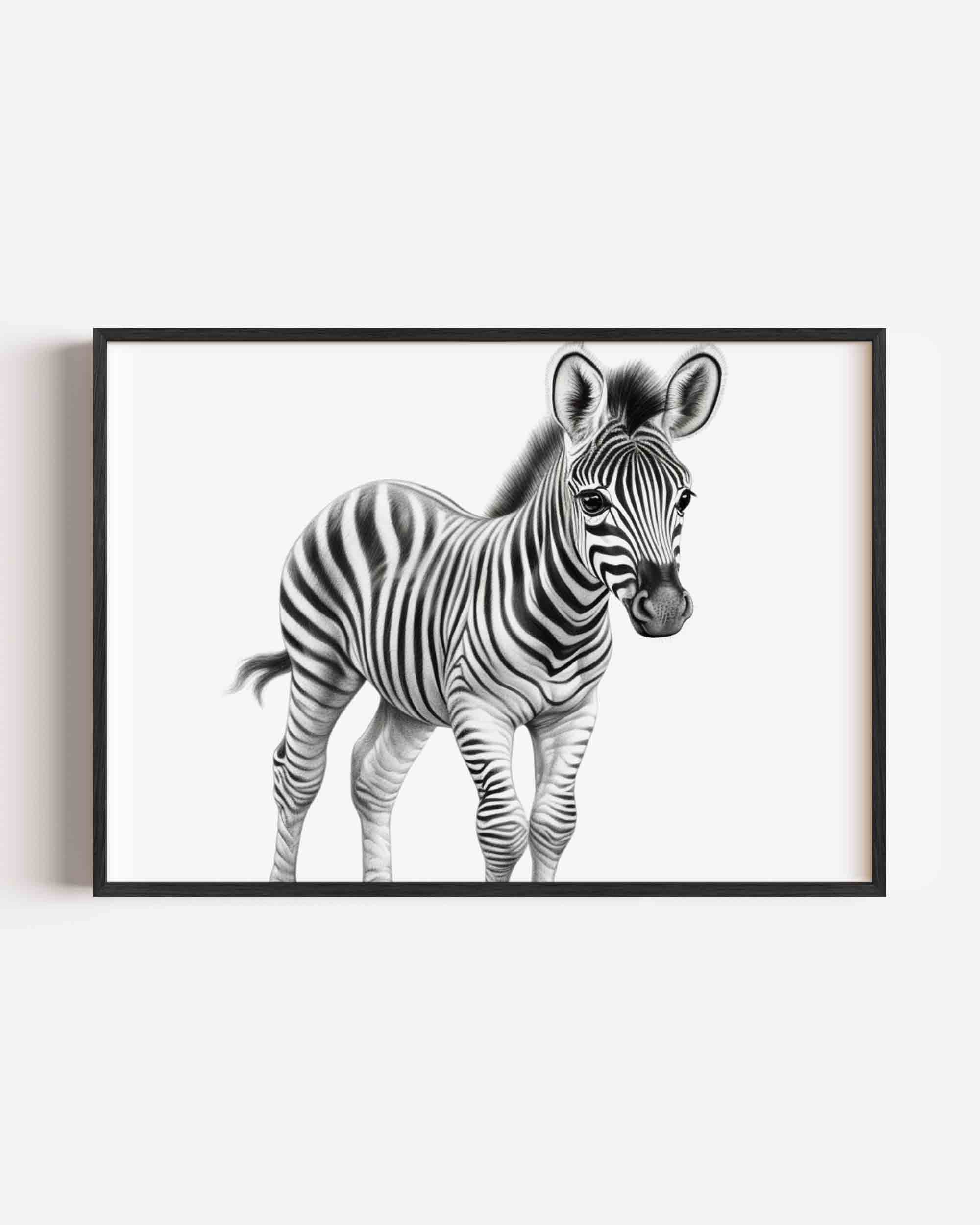 Zebra Poster