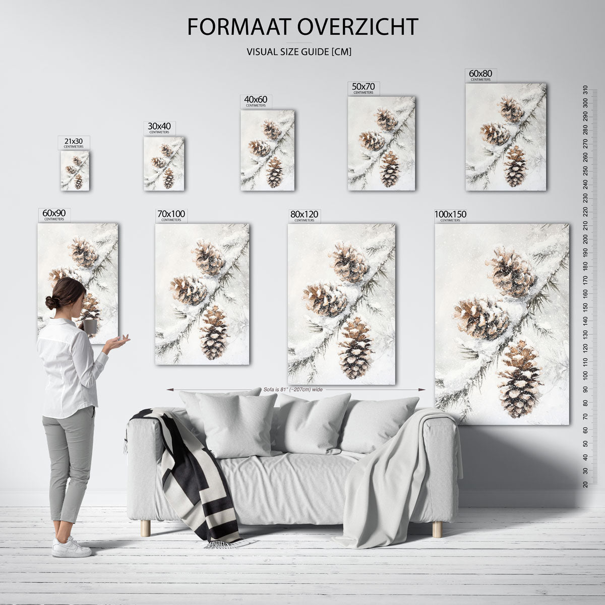 Dennenappels in sneeuw Poster