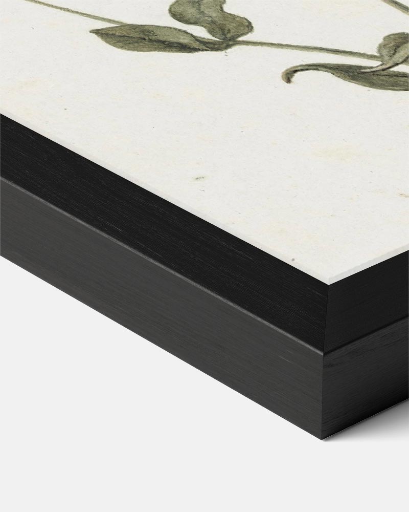 Botanische Bloemenposter-WallArtistic