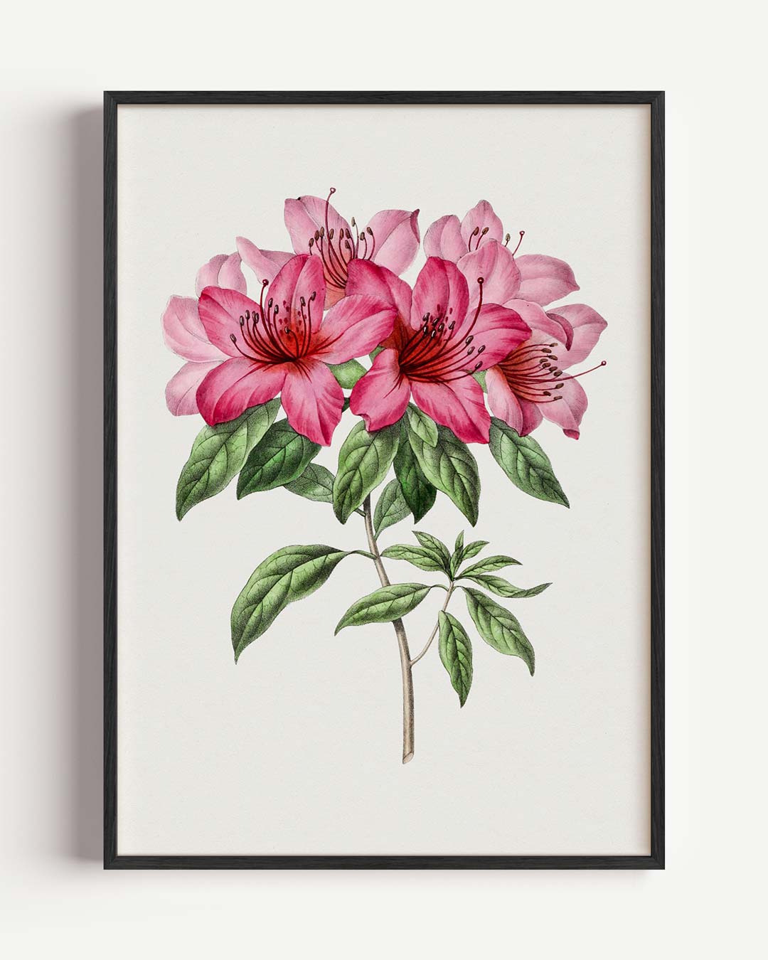 Prachtige Roze Bloemenpracht Poster-WallArtistic