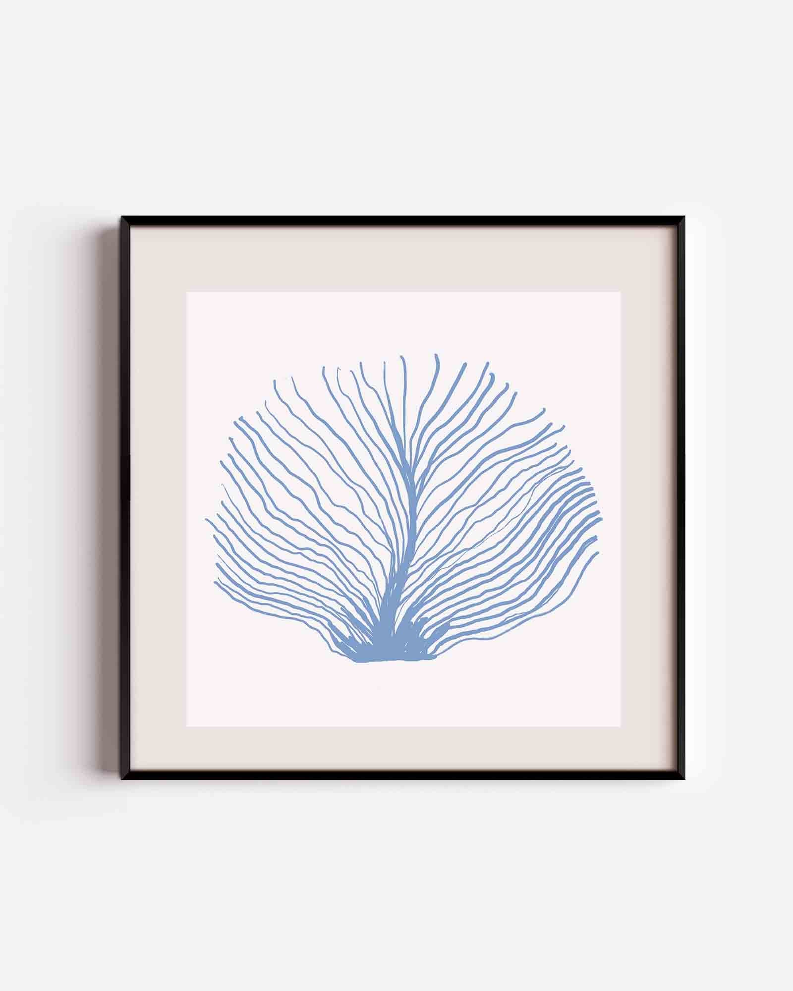 Blauwe waaier Poster