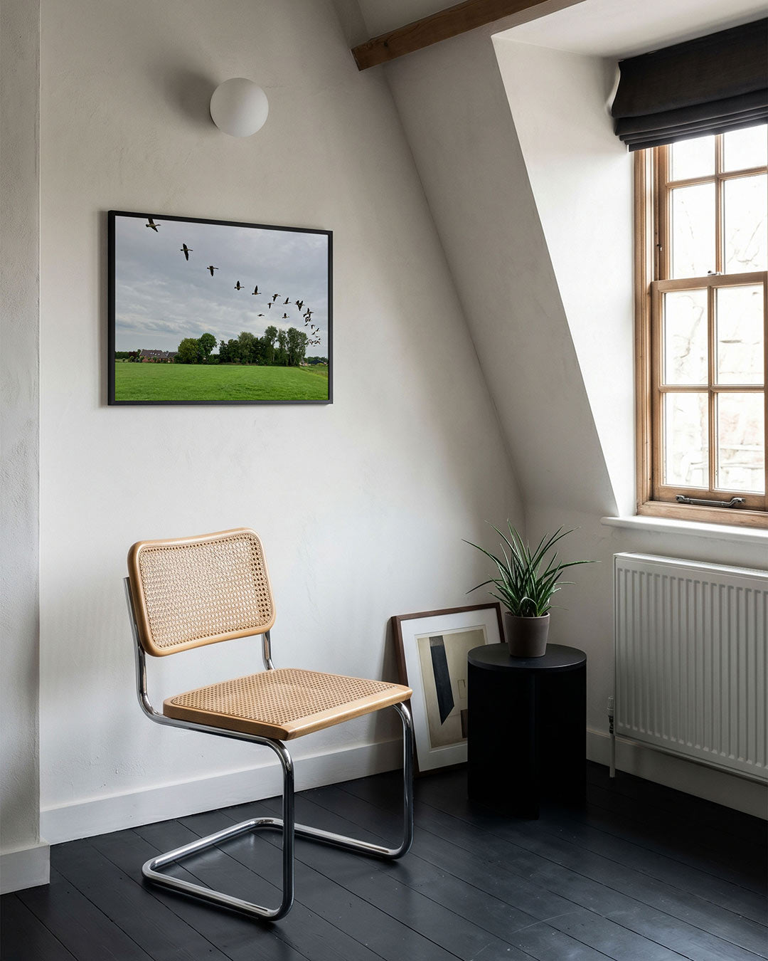 Vliegende vogels Poster