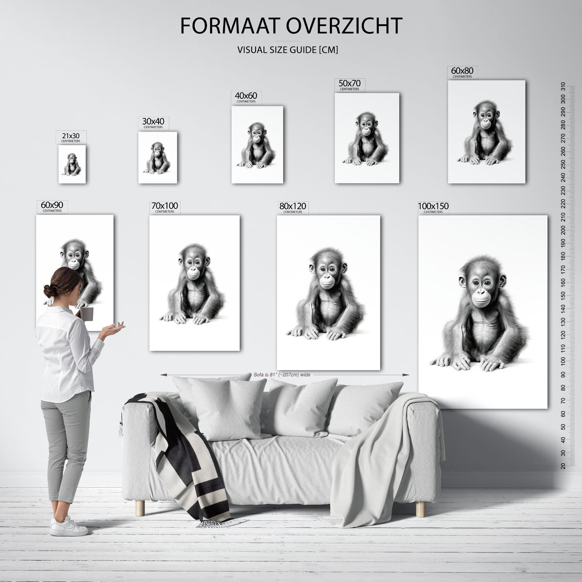 Schattige aap Poster