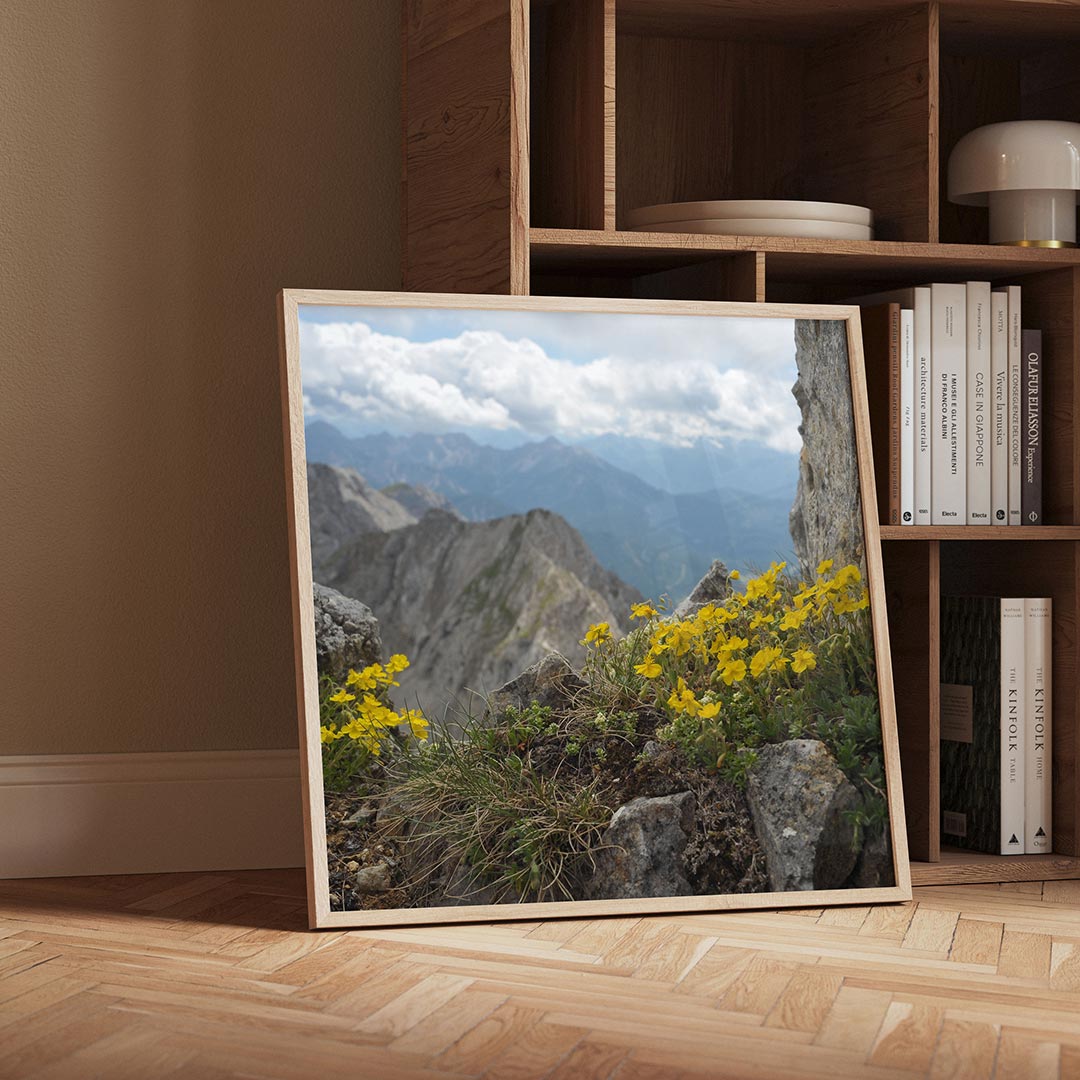 Berglandschap met bloemen Poster