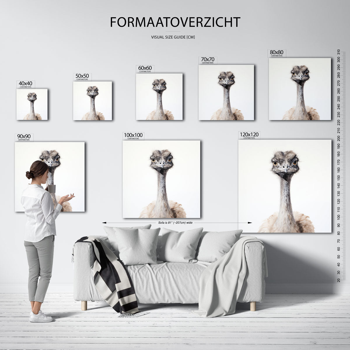 Struisvogel portret Poster