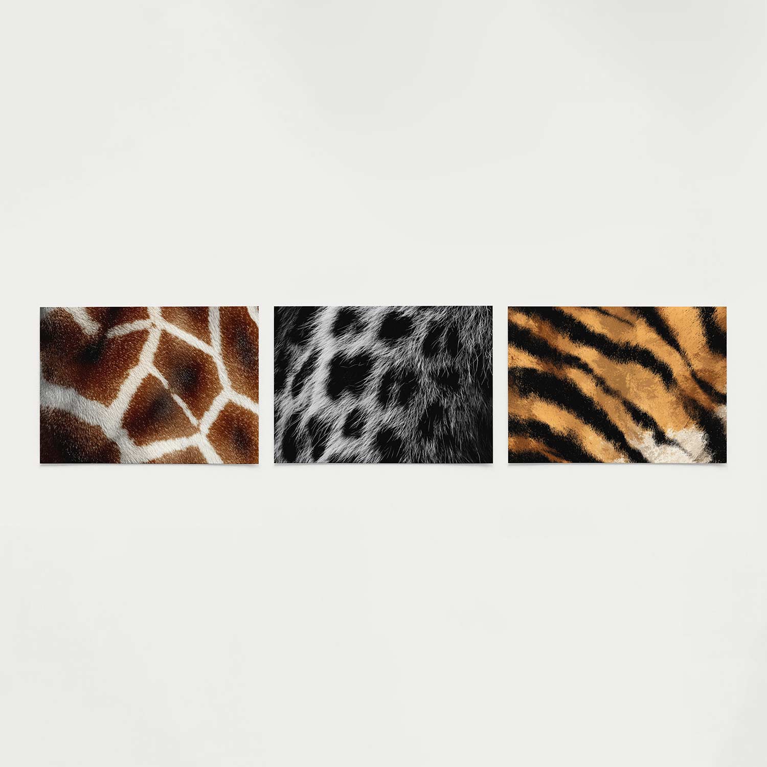 Vorm en textuur Posterset