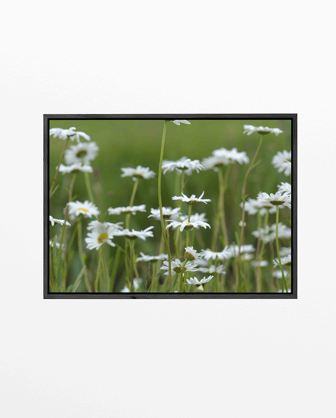 Bloemen in weide Kunstwerk