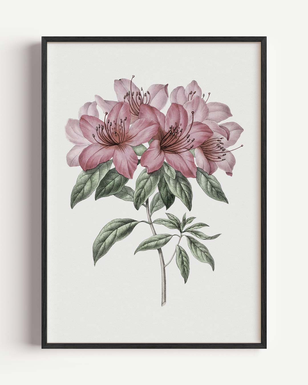 Elegante Bloemenpracht Poster-WallArtistic