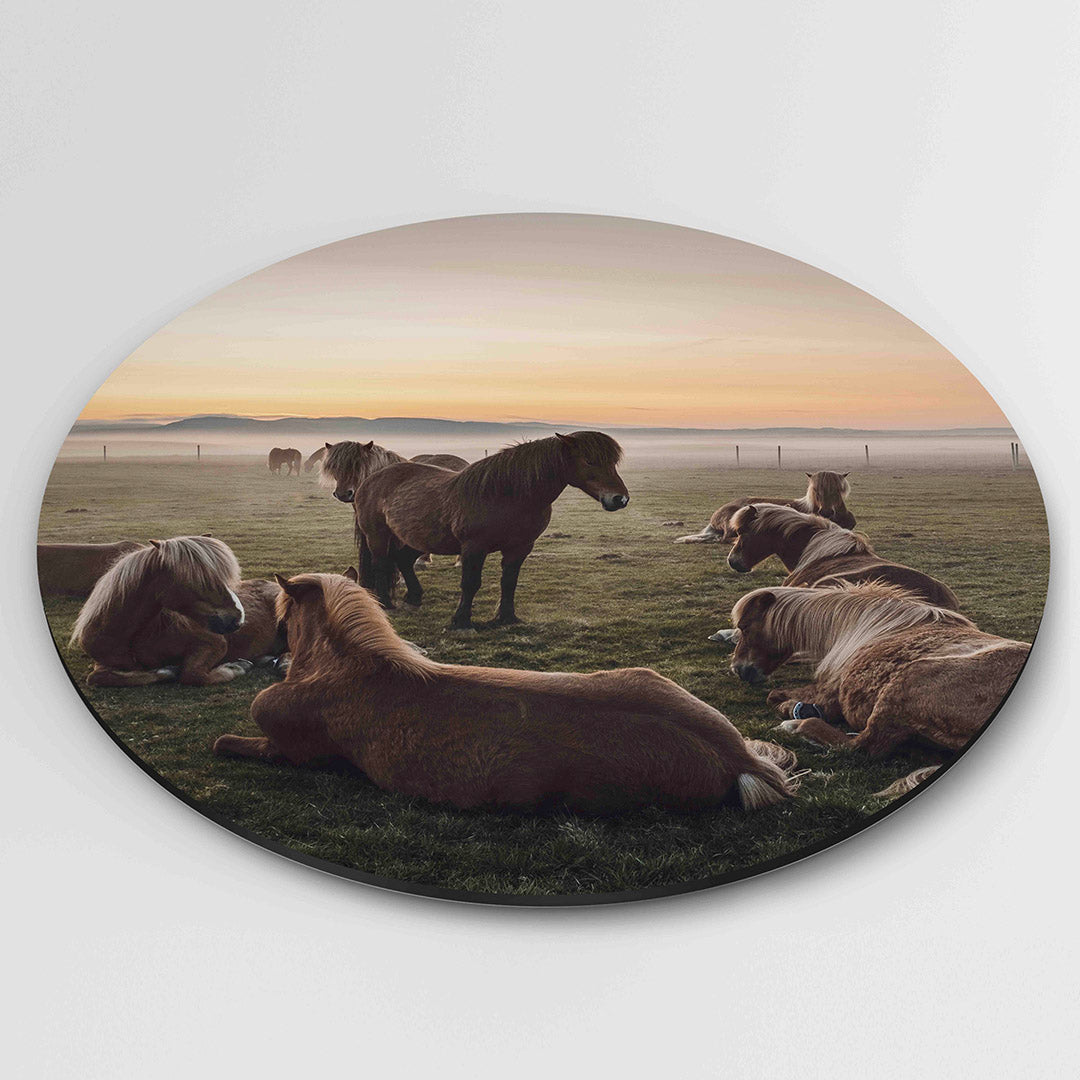Paarden in landschap Muurcirkel