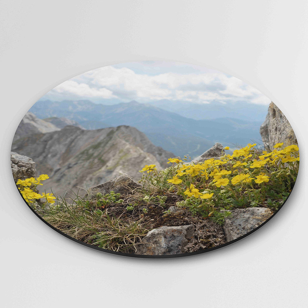 Berglandschap met gele bloemen Muurcirkel