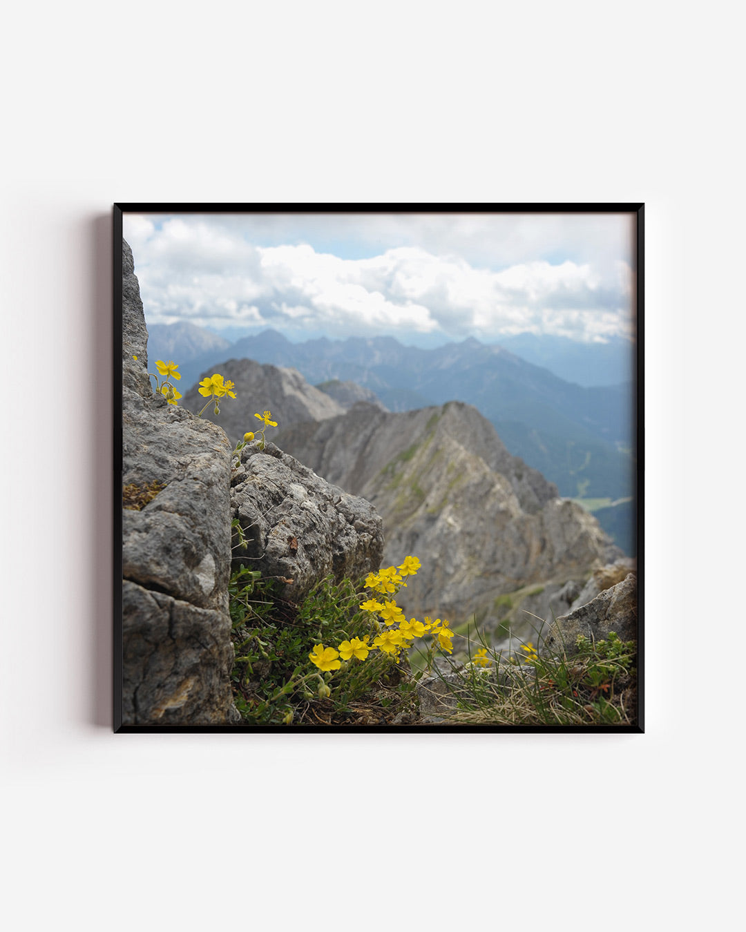 Berglandschap met bloemen Poster