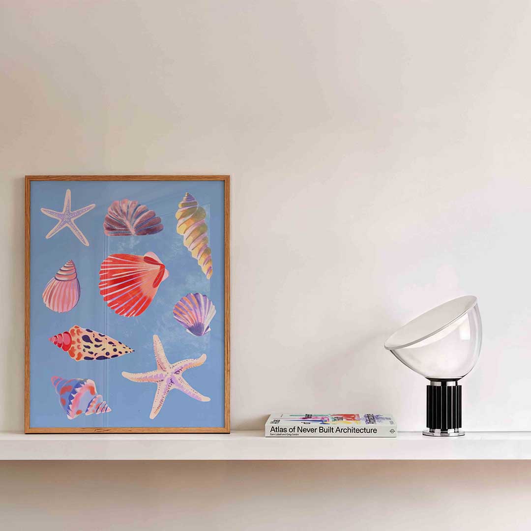Schelpen en zeesterren Poster
